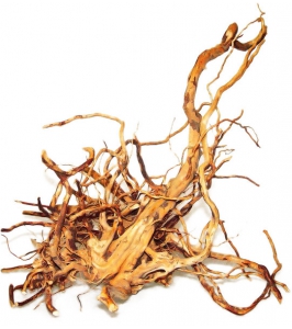 Koreň FINGER WOOD -XL 50-60cm - do akvárií a terárií