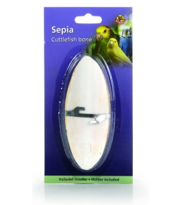 Sépiová kosť malá 12cm